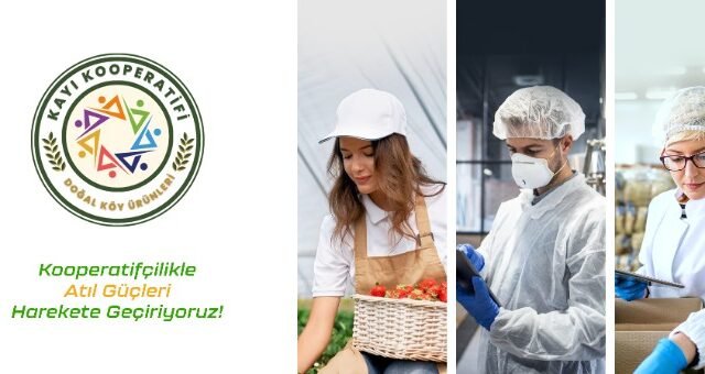 43296820251128052418276